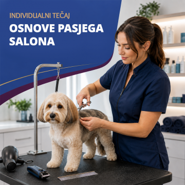 Individualni tečaj – Osnove...