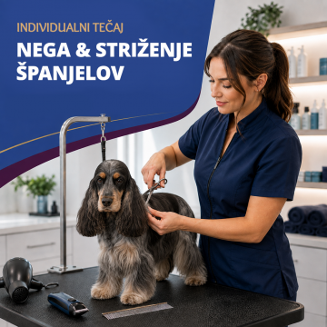 Individualni tečaj –...