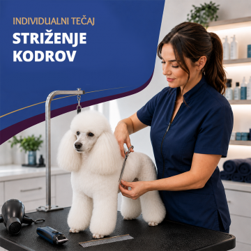 Individualni tečaj –...