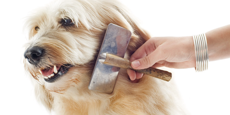 Pravilna nega dlake ... nočna mora!